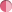 Rosa de dos tonos