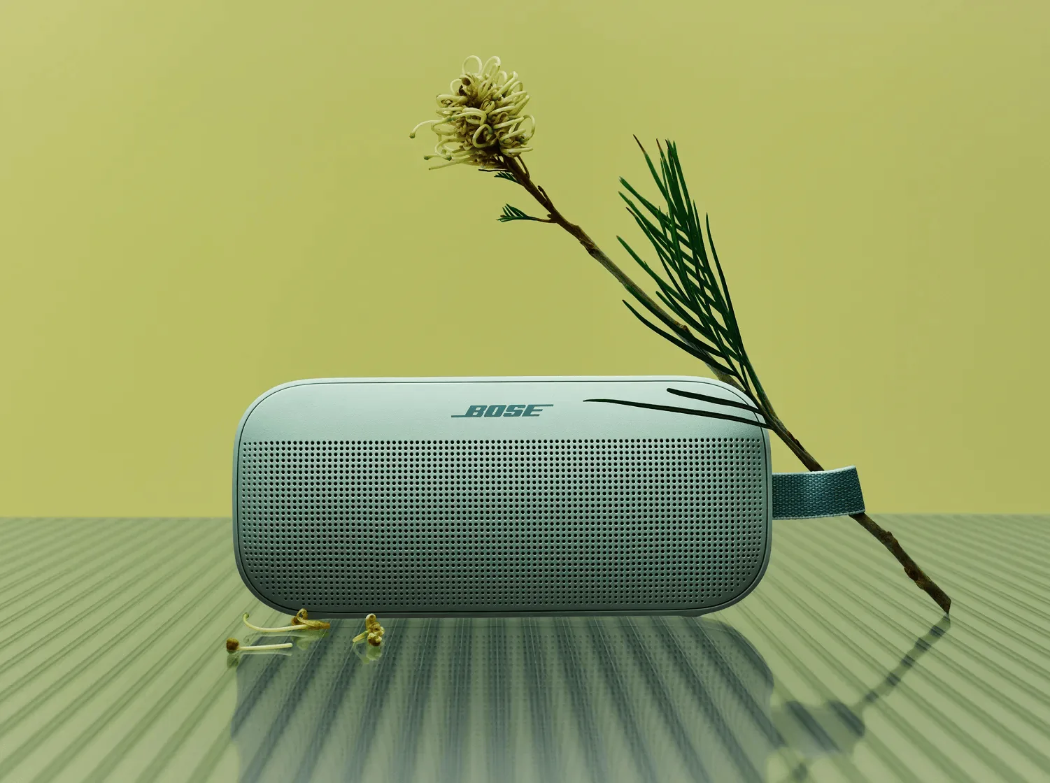 SoundLink Flex (2.ª gen.) — fotografía oficial Bose