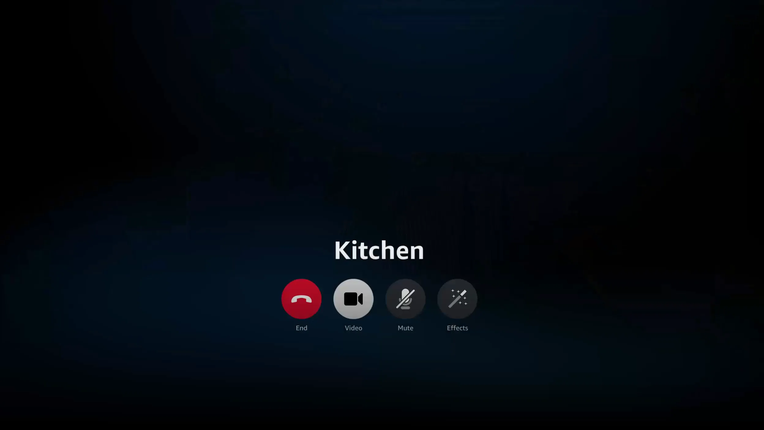 Una videollamada en el Echo Show 11: una niña muestra unas flores desde la cocina.