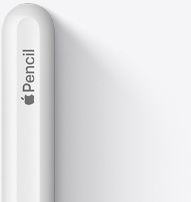 Se muestra la parte superior del Apple Pencil de segunda generación con un diseño redondeado, el logo de Apple y la palabra Pencil.