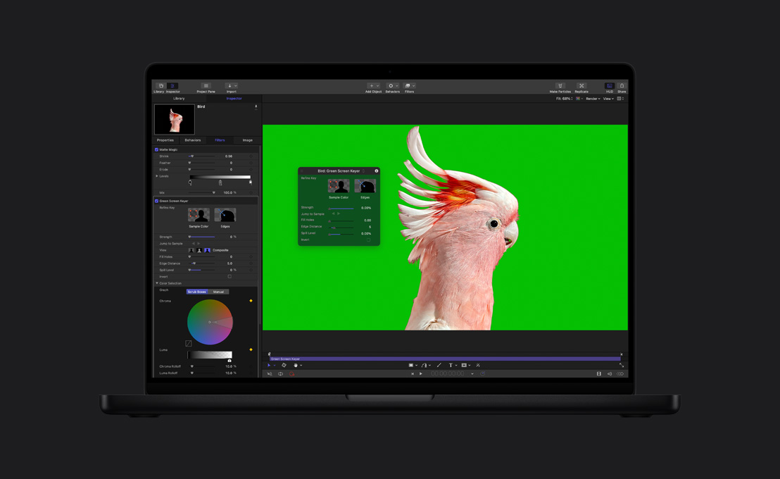 MacBook Pro de 16 pulgadas, cacatúa rosa sobre una pantalla verde, demostración de la incrustación de croma