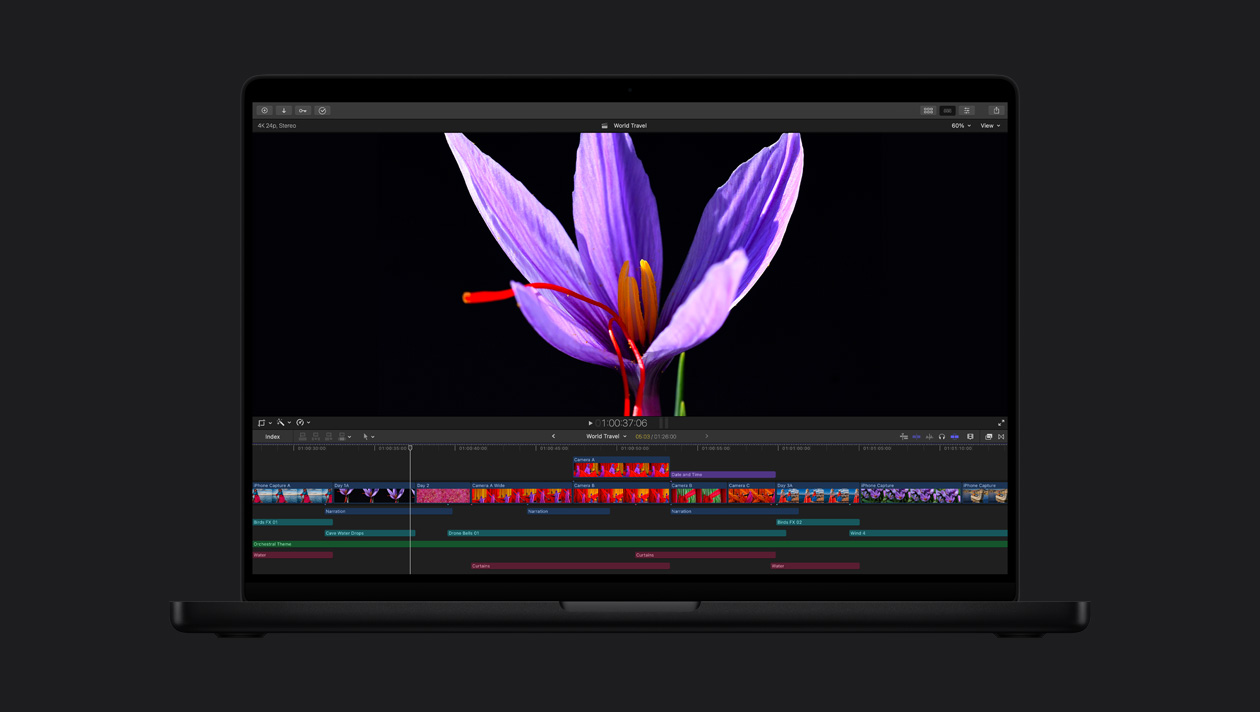 HDR en una Macbook Pro de 16 pulgadas, primer plano de una flor morada con estambres rojos