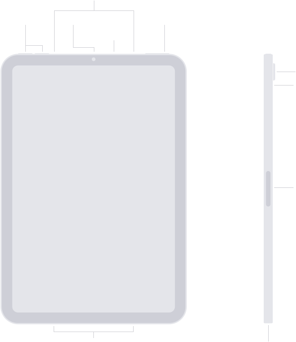 Ubicación de los botones y conectores del iPad mini